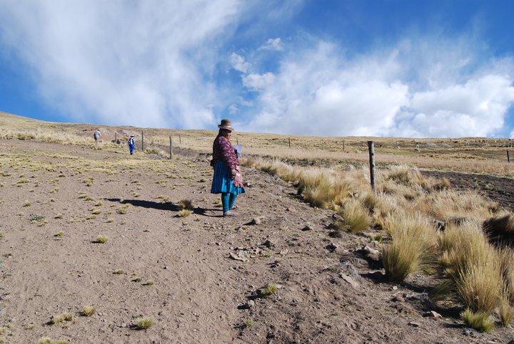 "Escenario de la COP 20 visibiliza que el cambio climático no es prioritario para autoridades peruanas"