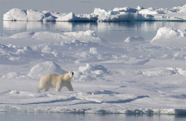 Obama responde carta a Alejandro Sanz sobre santuario en el Ártico