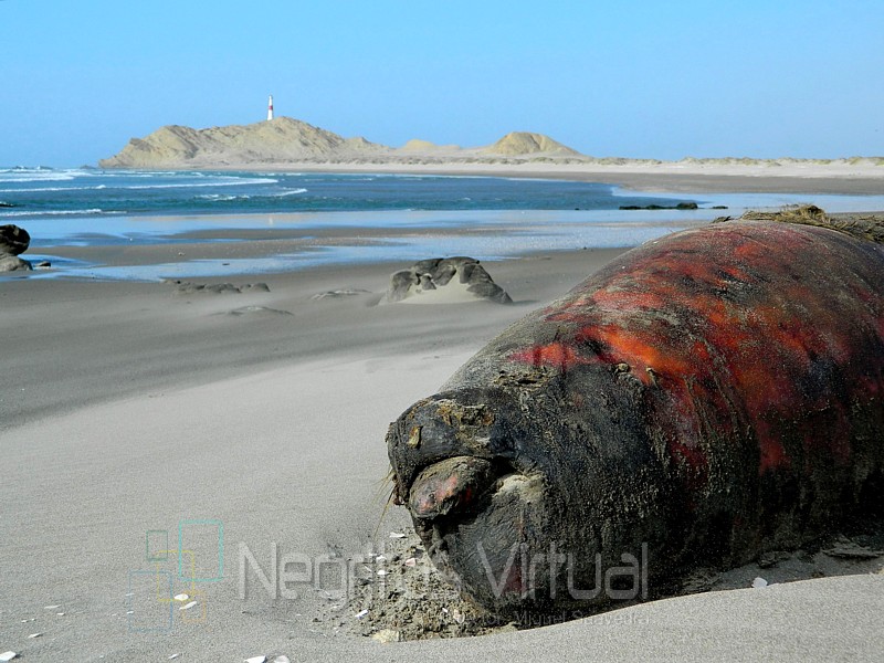 Muerte en la Punta mas occidental de Sudamérica