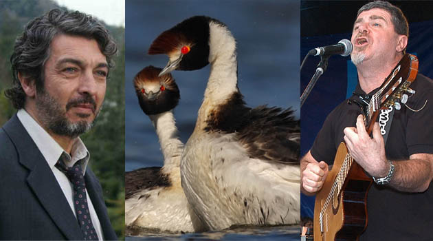 Ricardo Darín y Gustavo Santaolalla, unidos para salvar un ave patagónica