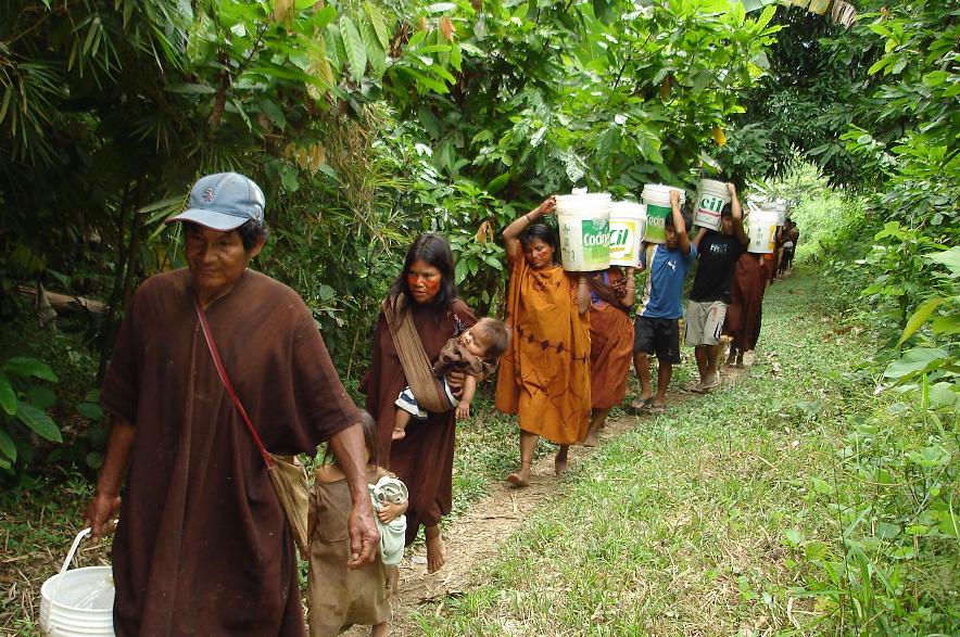 Proteger los derechos forestales de los indígenas generaría 'sustanciales beneficios económicos' en América Latina