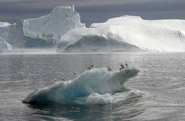 Experto científico pronostica deshielo del Ártico para el año 2016