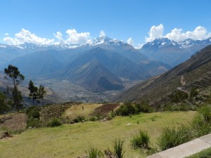 Propuestas de política para enfrentar el cambio climático