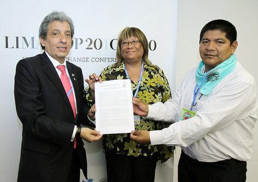 Conozca la Declaración de Lima y su entrega a la COP 20