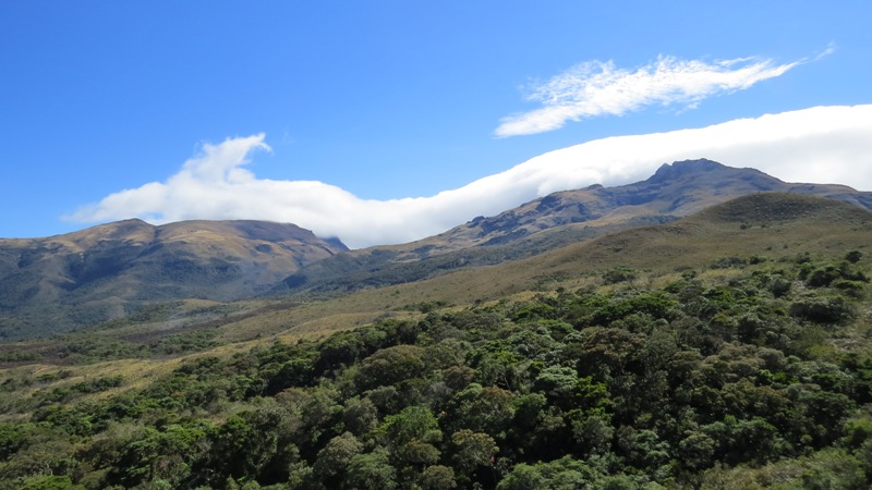 Reconocen en Piura la primera área de conservación privada del 2015