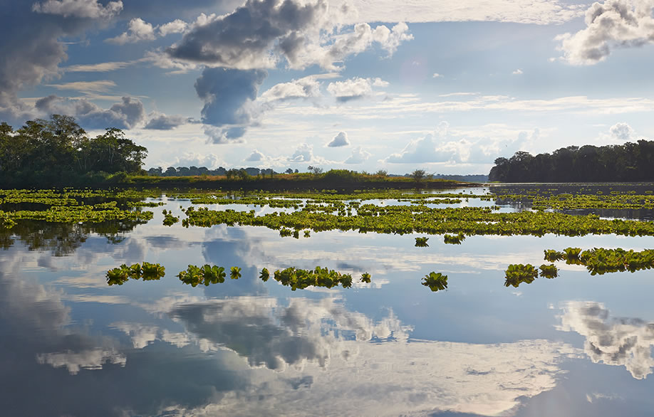 Documento en PDF: estándares socioambientales para proyectos hidroeléctricos en la Amazonía peruana