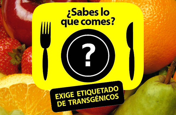 Post Transgénicos Reglamento De Etiquetado Obligatorio Se Publicará La Próxima Semana 8080