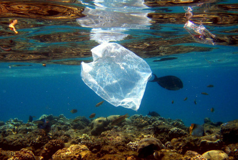 Alertan que en 2025 habrá 1 kilo de plástico por cada 3 de pescado en el mar
