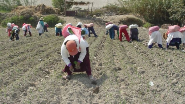 LA BIBLIA Y EL AGRO