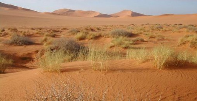 Más de la mitad de la Tierra podría convertirse en una zona árida en 2100