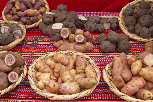 Miguel Ordinola "La innovación puede colaborar a mejorar la seguridad alimentaria"