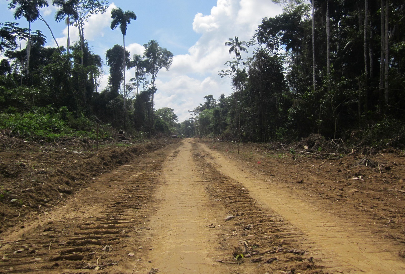 Carreteras en Madre de Dios: ¿Progreso o peligro?