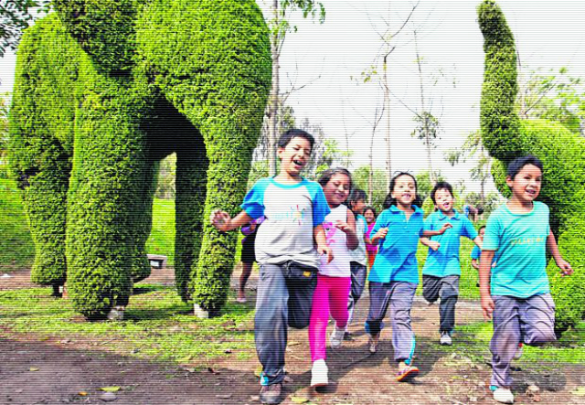 Escolares trabajan por una ciudad más verde