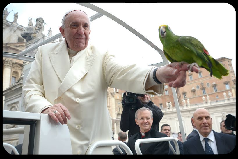 Papa Francisco publicará encíclica sobre ecología y protección al medio ambiente