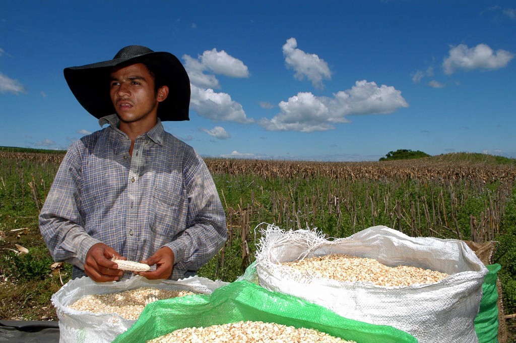 Agricultura familiar, clave para erradicar hambre en Latinoamérica, según FAO