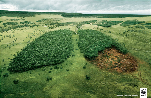 CALENDARIO AMBIENTAL: DÍA INTERNACIONAL DEL AIRE PURO