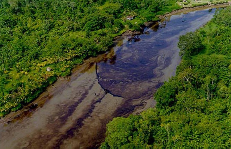 FARC: Ministerio del Ambiente de Colombia dice que firma de la paz traerá grandes réditos para ecosistemas