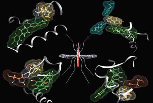 Científicos descubren nuevas cepas de malaria resistentes a medicamento