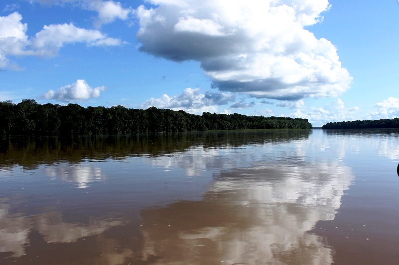 Diez razones para proteger la Zona Reservada Yaguas en Loreto