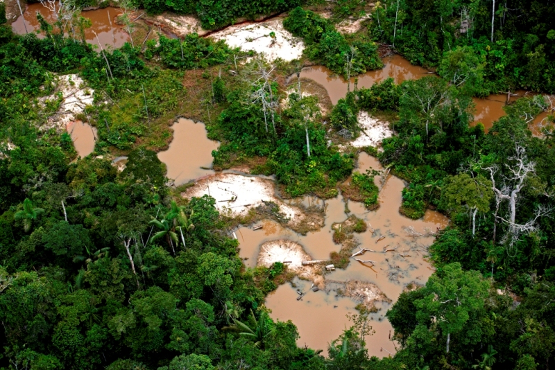 Tala ilegal, sembríos de coca y minería ilegal amenazan Zona Reservada Sierra del Divisor