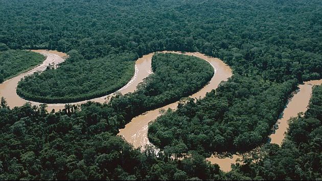 Los discursos forestales y su influencia en la construcción de sociedades sustentables