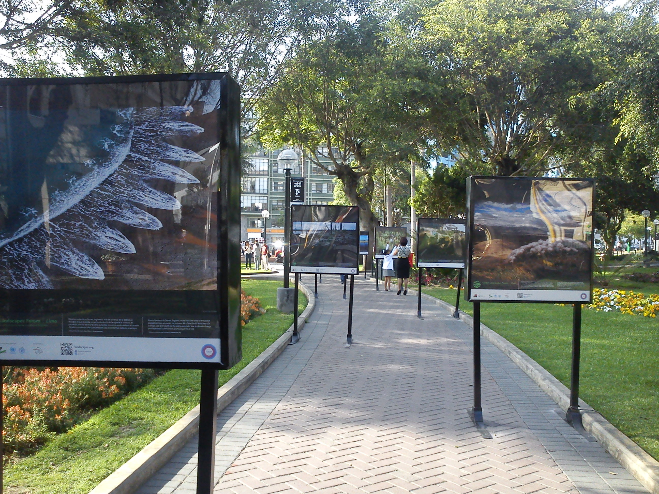 Miraflores se viste de verde