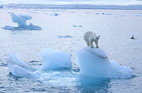 26 países discuten tratado para salvar el oceano Ártico
