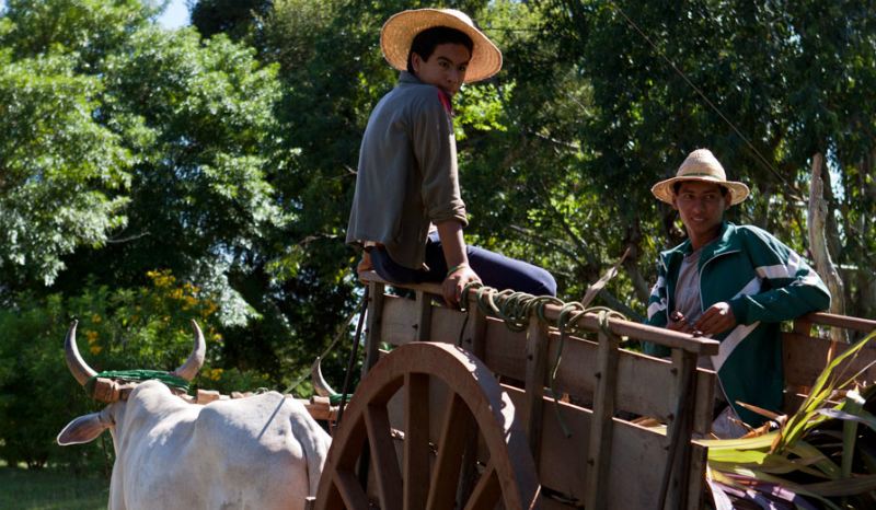 Paraguay: campesinos resisten al dominio de la soya