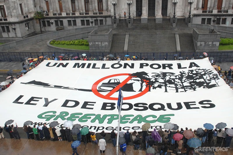 ¿Por qué Greenpeace hace lo que hace? Responde Mauro Fernández