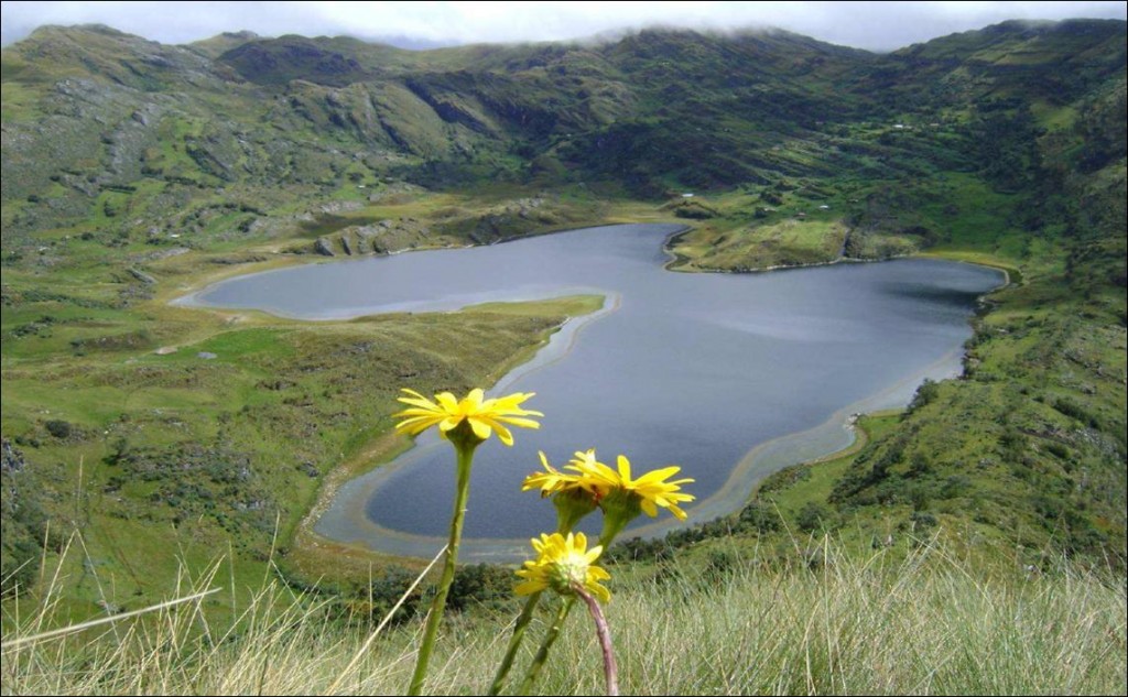 ¿Por qué no declarar a la Laguna El Perol como patrimonio ecológico de la humanidad? 