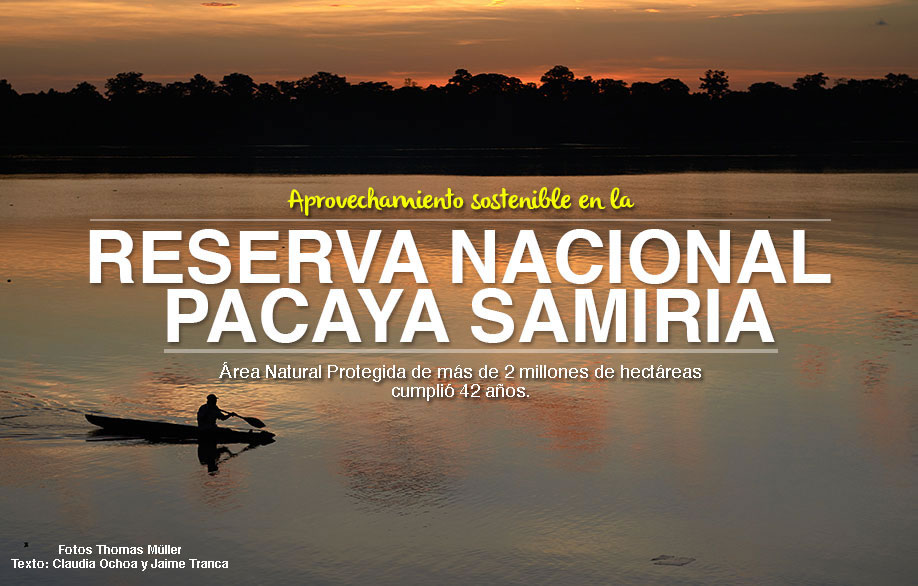 [Especial] Aprovechamiento sostenible en la Reserva Nacional Pacaya Samiria