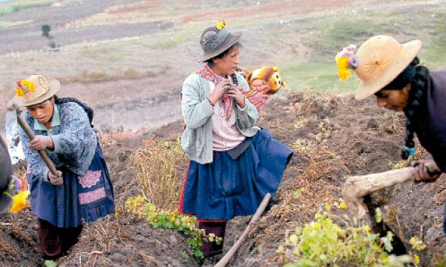 Indiferencia oficial ante la agricultura familiar