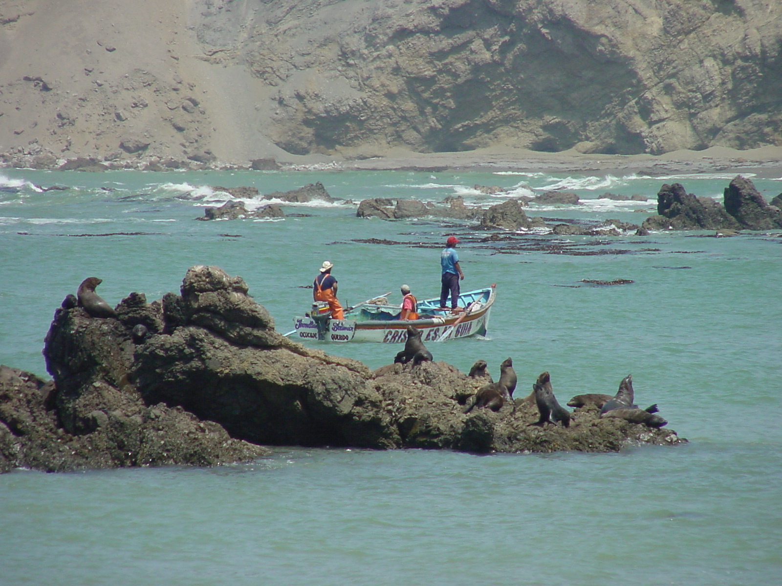 Oceana recomienda no abrir la segunda temporada de pesca de anchoveta en base a reporte de Imarpe