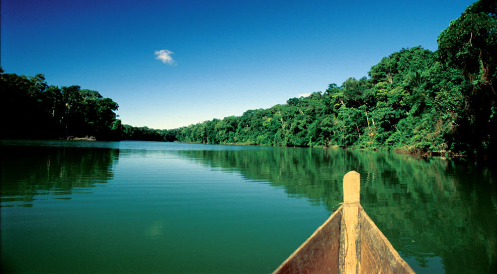 Desaparición de bosques inundados amenaza la abundancia de peces en el Amazonas