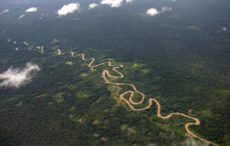 "Perú debe poner en agenda la importancia de la Amazonía durante la COP20"