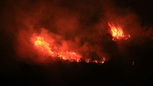 Incendios forestales: Tres áreas de conservación privadas y ambientales se queman en el norte de Perú