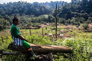 Asháninkas en Perú: un pueblo indígena que vive entre narcos, invasores y terroristas