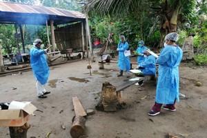 Perú: indígenas en aislamiento y contacto inicial cercados por el COVID-19