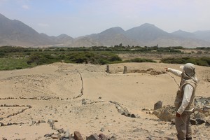 Evidencias arqueológicas de Caral se encuentran en peligro