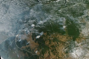 ¿Cómo los incendios disminuyen las lluvias y cambian el clima de la Amazonía?