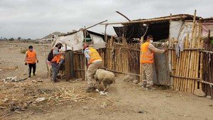 La Libertad: Ministerio de Cultura recupera áreas del Sitio Arqueológico Farfán