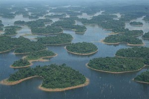 Nuevo estudio advierte que las presas amenazan el futuro de la biodiversidad amazónica