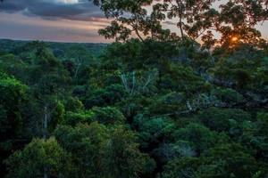 Referéndum en Ecuador: el medioambiente en debate