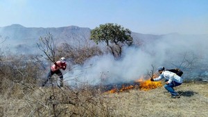 Perú: incendio arrasa con 500 hectáreas del Área de Conservación Privada Chaparrí