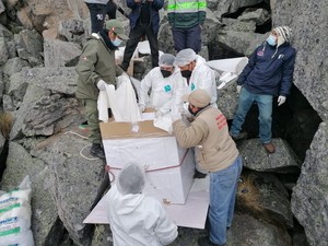 Ministerio de Cultura rescata las “momias de Palcán”