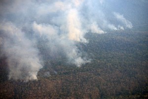 Incendio forestal de gran magnitud amenaza a comunidades indígenas y reservas naturales de la selva central