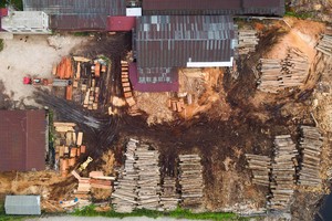 “El momento de la verdad”: alto porcentaje de la madera que Perú exporta es ilegal