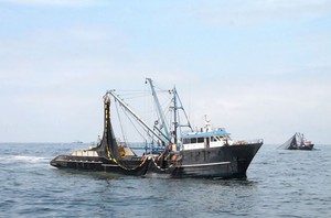 ¿Autogol peruano? Congreso podría aprobar dictamen que amenaza los derechos de pesca de anchoveta