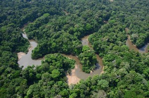 Alternativas para el 'buen vivir' en la Amazonía