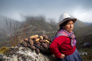 ¿Por qué no tenemos una política nacional de manejo de suelos?